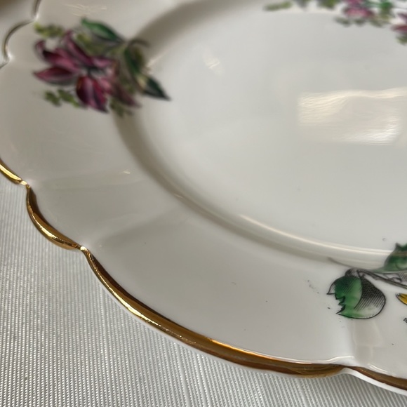 Victoria C & E Bone China England 8.25” plate floral pattern - Picture 6 of 8